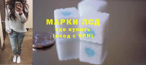 прущие грибы Дмитровск