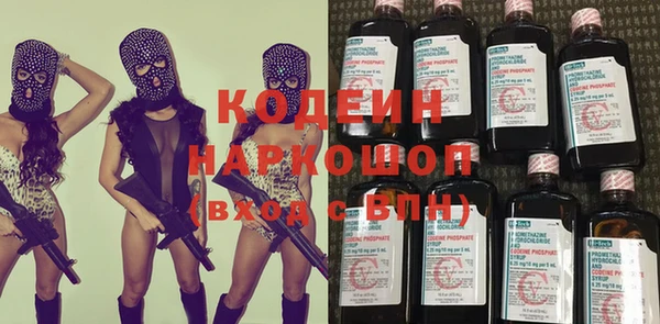 прущие грибы Дмитровск