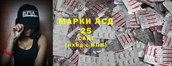 прущие грибы Дмитровск