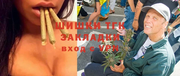 прущие грибы Дмитровск