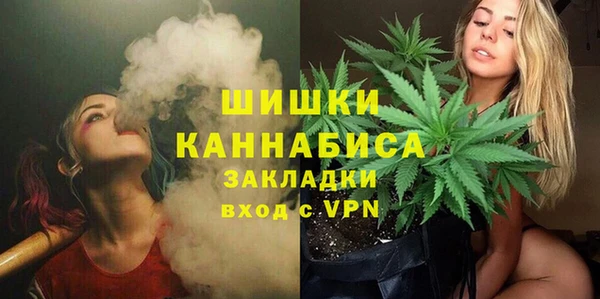 прущие грибы Дмитровск