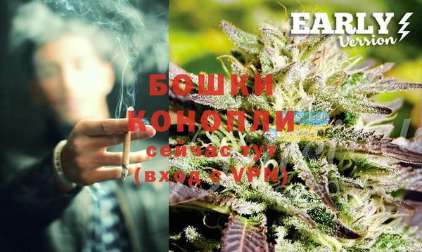 ECSTASY Покровск