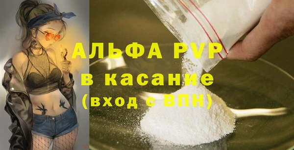 прущие грибы Дмитровск