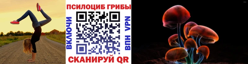 Псилоцибиновые грибы мицелий  блэк спрут как зайти  Озёры 